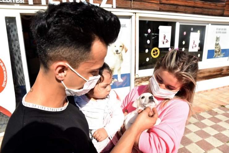 Bir can daha yuvaya kavuştu