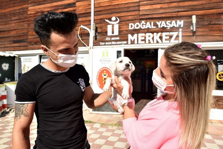 Bir can daha yuvaya kavuştu