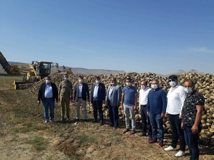 Yeşilhisar’da şeker pancarı hasadı