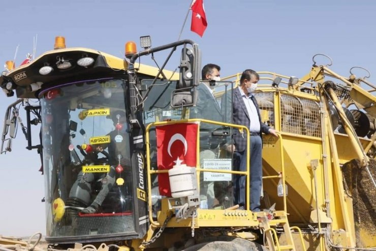 Yeşilhisar’da şeker pancarı hasadı