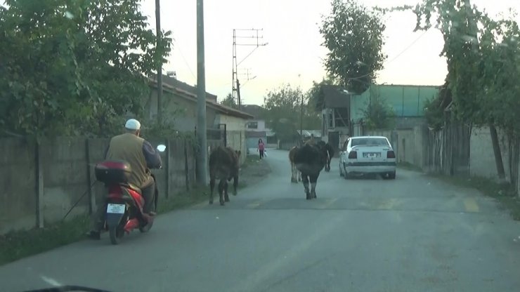 Teknolojiye ayak uydurdu