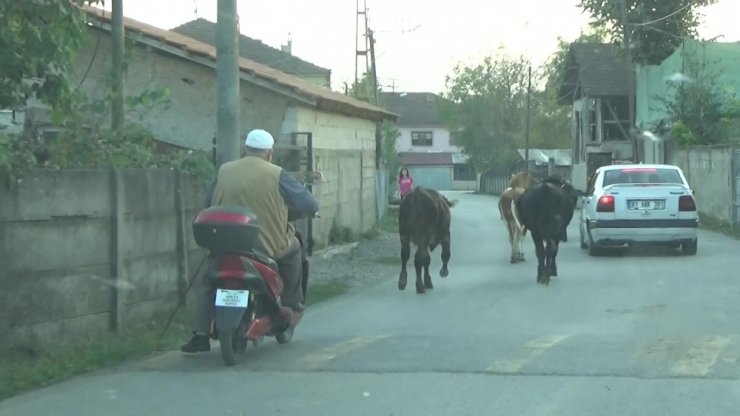 Teknolojiye ayak uydurdu