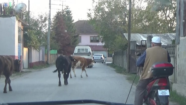 Teknolojiye ayak uydurdu