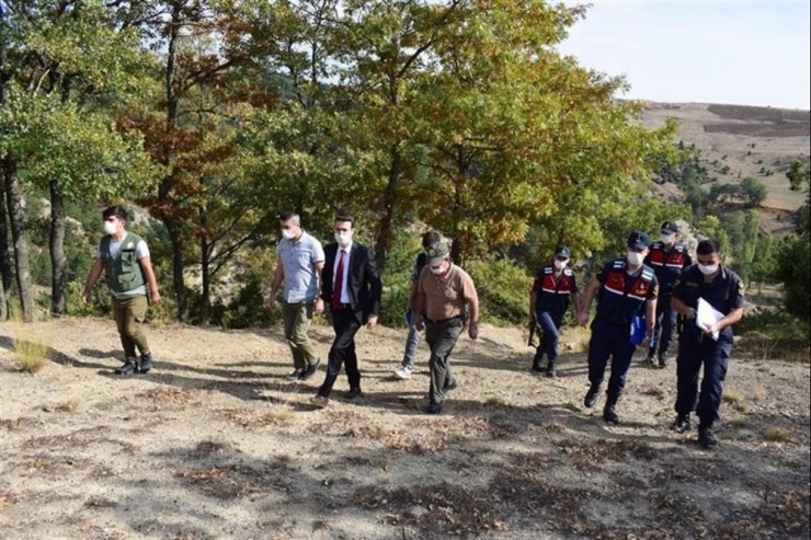 Keçilerine yedirmek için 34 meşe ağacını kesen çobana 12 bin lira ceza