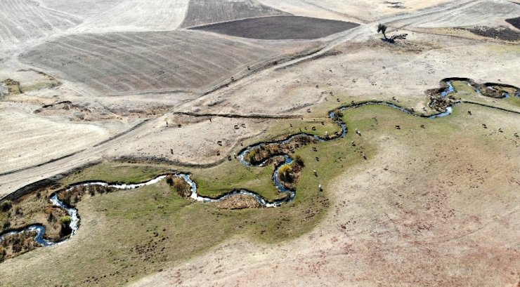 Bayburt’ta fosiller bulunan sit alanı ’kesin korunacak hassas alan’ listesine alındı