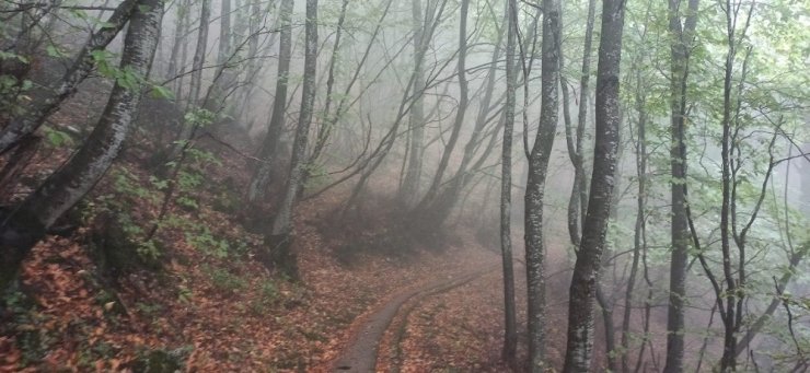 Uludağ’da sonbahar güzellikleri