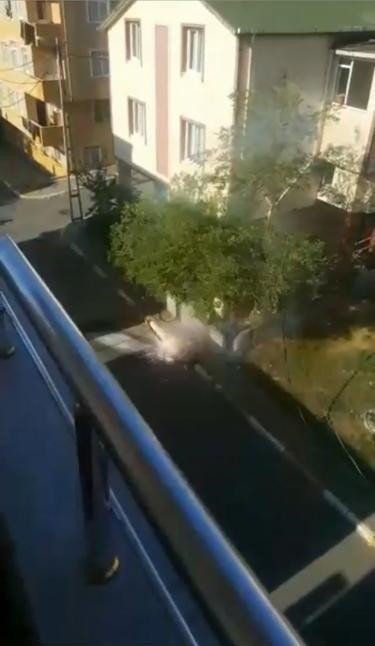 Elektrik kabloları bomba gibi patladı