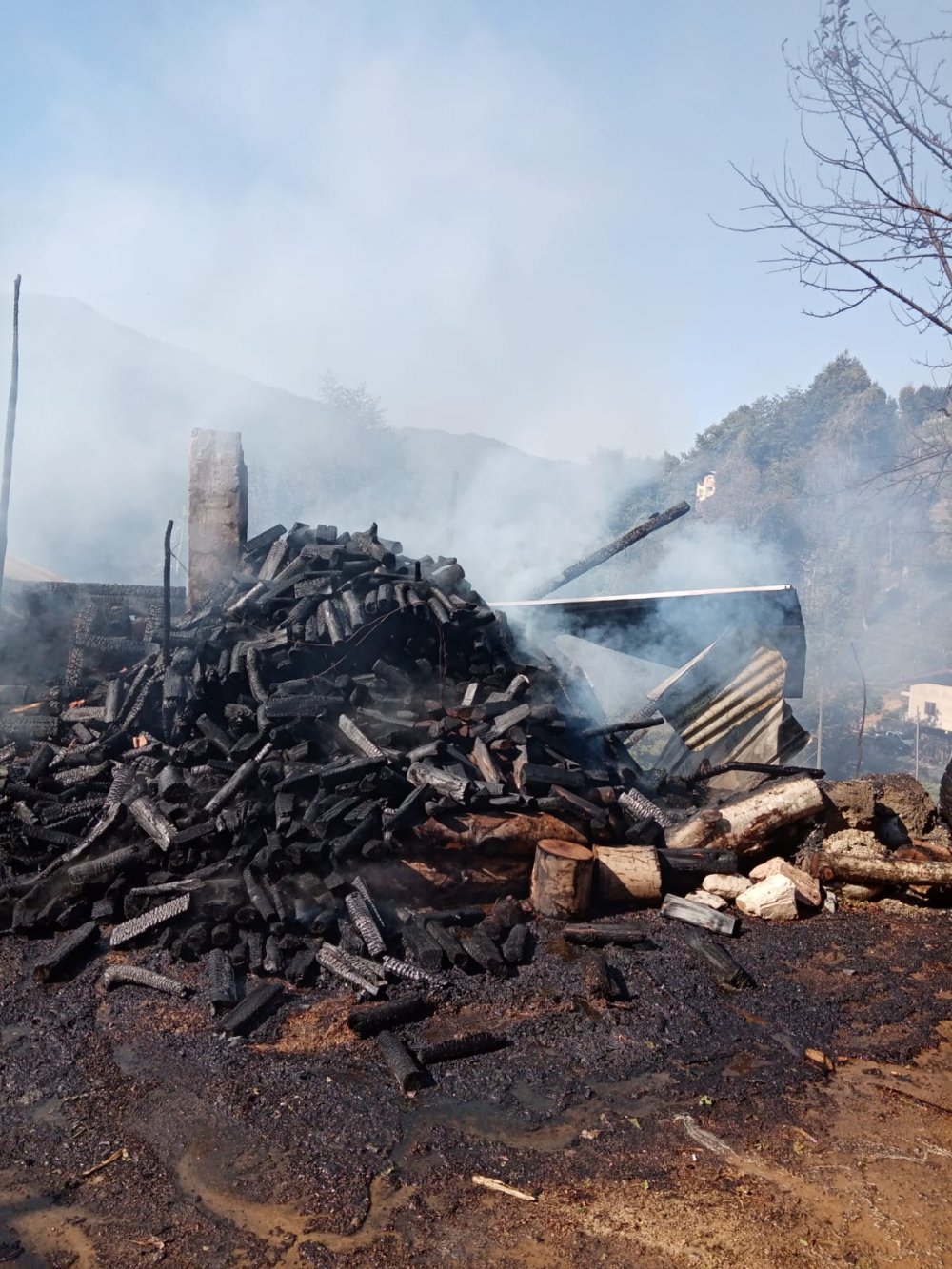 Elektrik kontağından çıkan yangında 12 kovan arı yandı