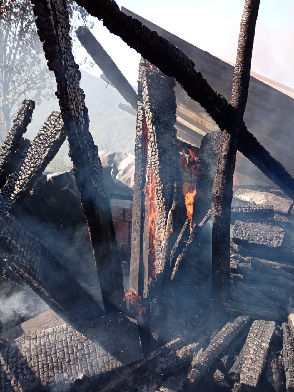 Elektrik kontağından çıkan yangında 12 kovan arı yandı