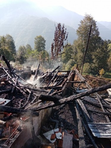Elektrik kontağından çıkan yangında 12 kovan arı yandı