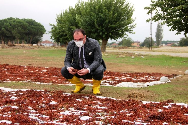 Sarıgöl’de sel zarara yol açtı