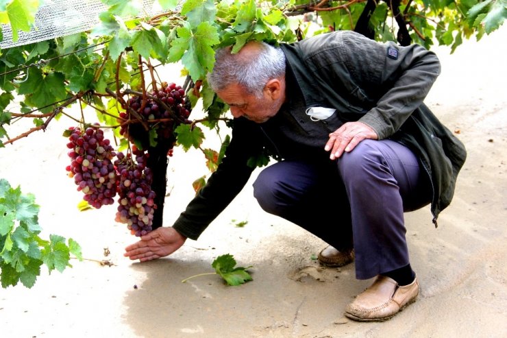 Sarıgöl’de sel zarara yol açtı