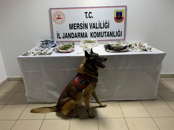 "Çaylak" ve "Dünya" uyuşturucuya geçit vermiyor