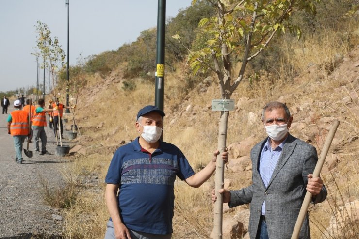 Talaslı Muhtarlar Ali Dağı’na ağaç dikti