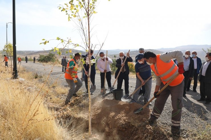 Talaslı Muhtarlar Ali Dağı’na ağaç dikti