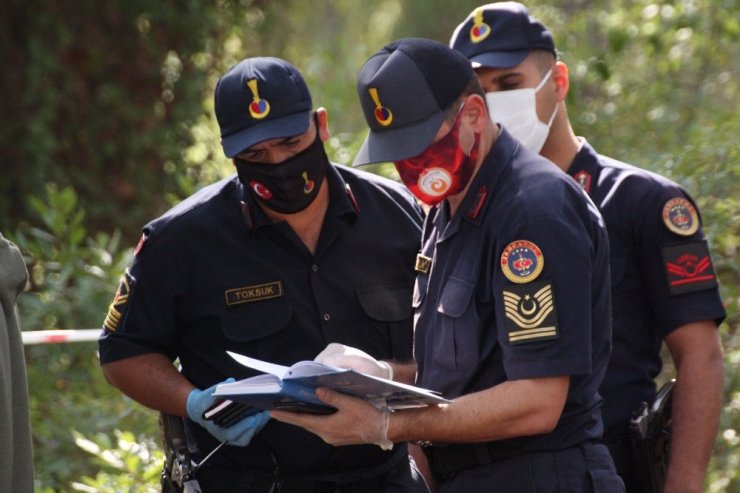 Ağaçta asılı bulunduğu ipin satın alma fişi cebinden çıktı