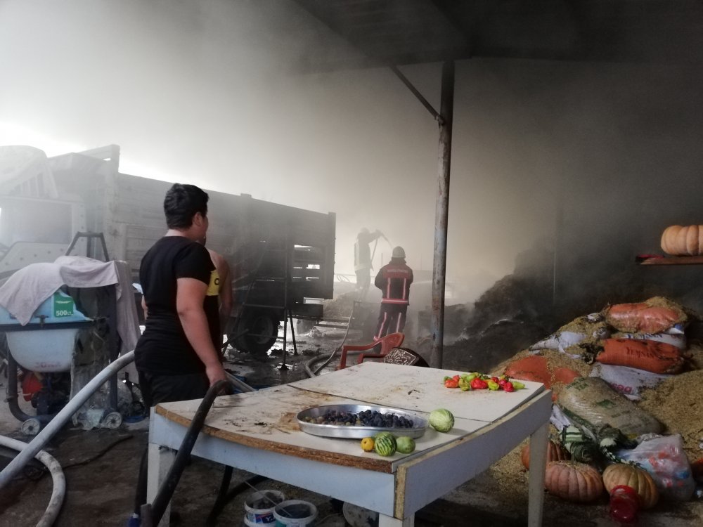 Çiftlikte çıkan yangın 3 saatte söndürüldü! Yanan ineğini tuzla ovdu