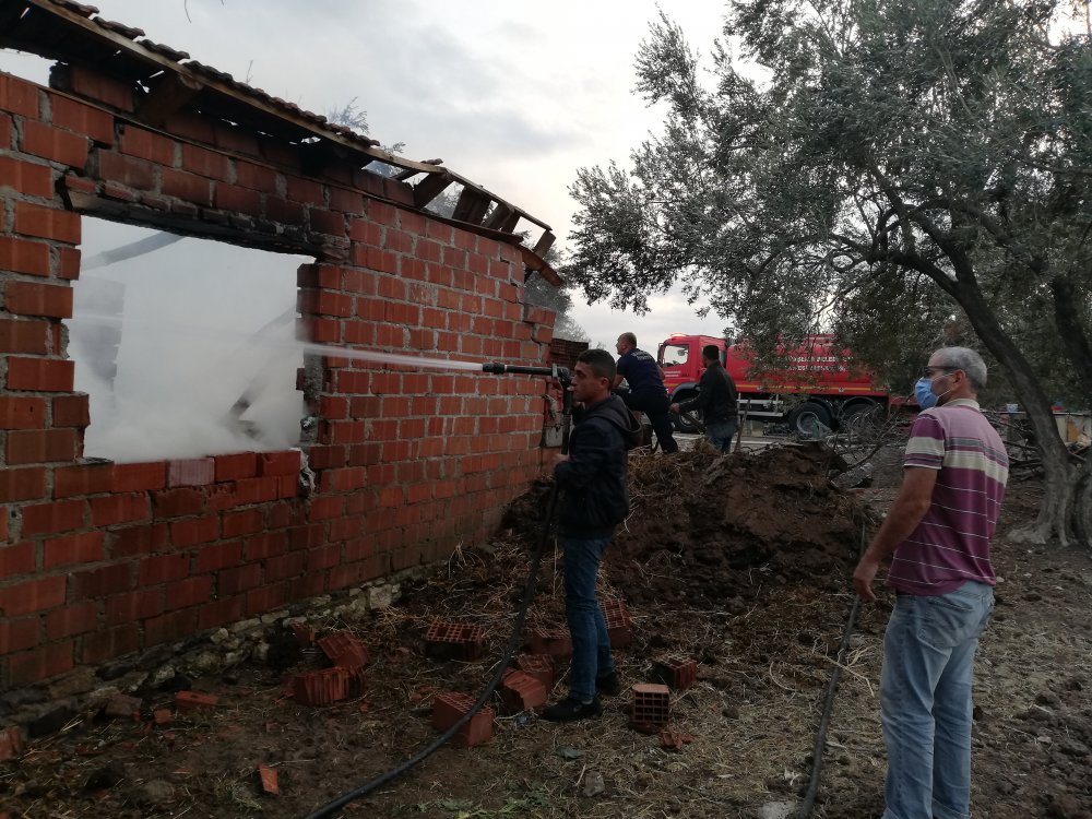 Çiftlikte çıkan yangın 3 saatte söndürüldü! Yanan ineğini tuzla ovdu