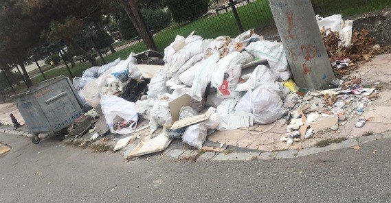 Düzce Belediyesi moloz atıkları toplanıyor