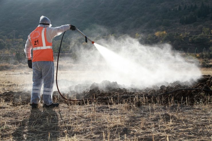 Talas’ta kış uykusuna giren haşerata ilaçlama