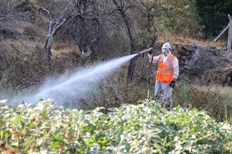 Talas’ta kış uykusuna giren haşerata ilaçlama