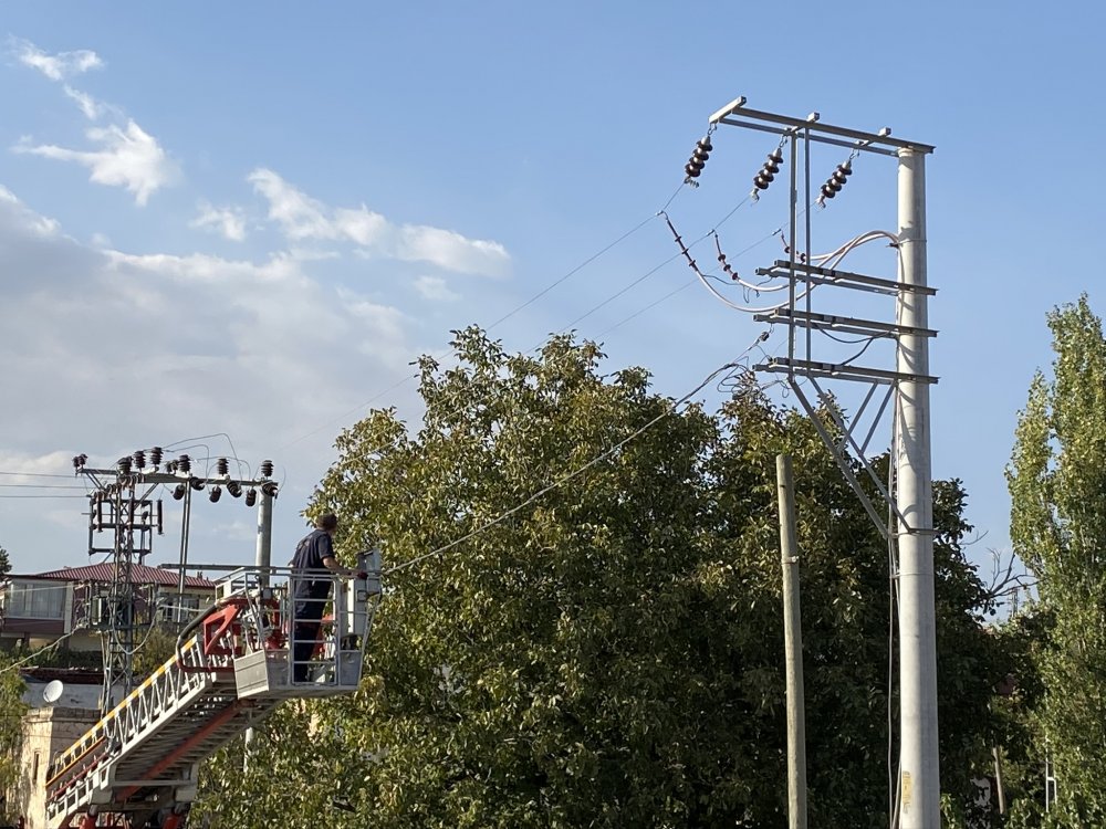 Ceviz toplamak için çıktığı ağaçta elektrik akımına kapılarak can verdi