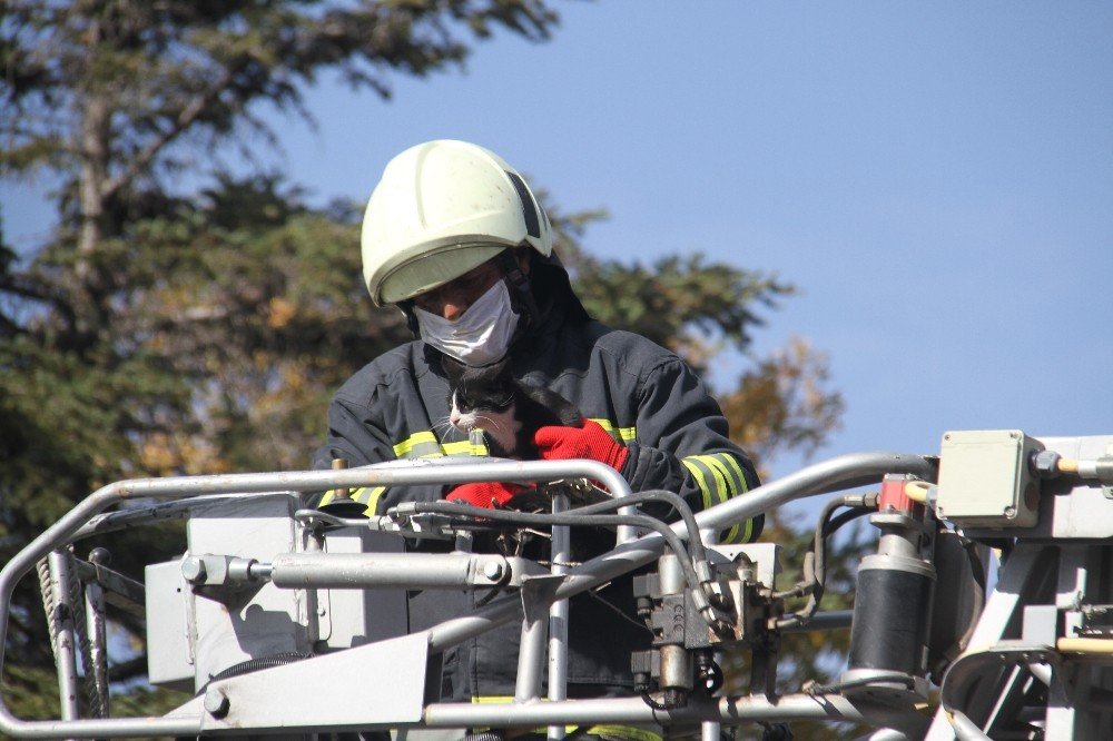 Konya'nın koca yürekli insanları itfaiyeciler yine bir canı kurtardı