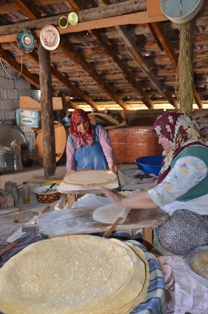 Antalya'da kış öncesi hazırlıklar tam gaz! Tek tek kestiler