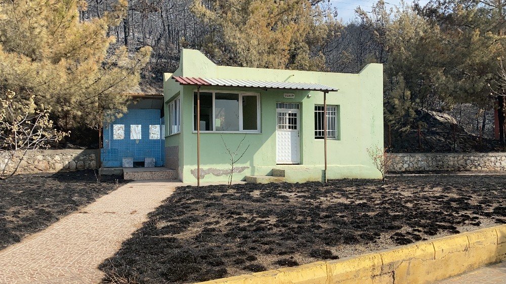 Hatay'daki orman yangınında her yer yandı bir tek orası yanmadı
