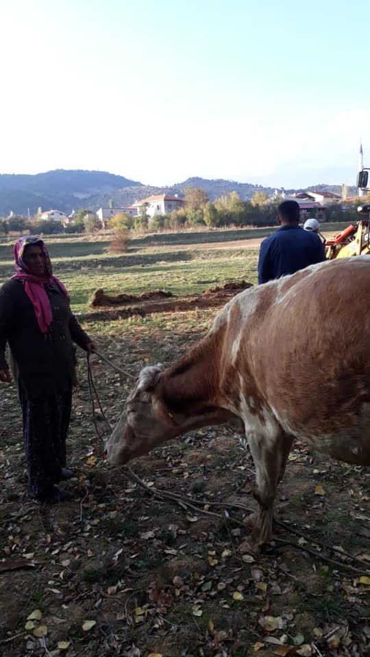 Konya'da talihsiz ineğin yardımına itfaiye koştu