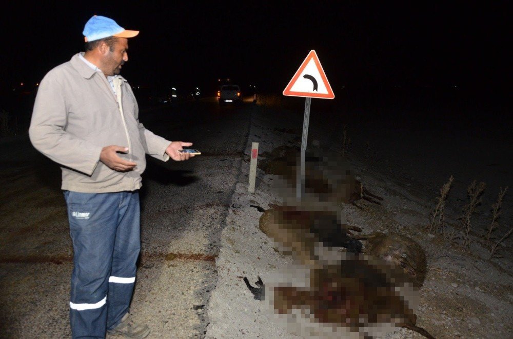 Konya'da katliam gibi kaza! 30'u da olay yerinde can verdi