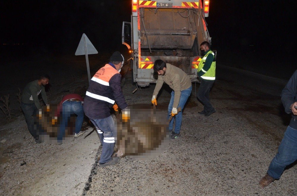 Konya'da katliam gibi kaza! 30'u da olay yerinde can verdi