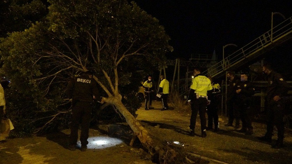 Önce yayaya sonra ağaca çarpan otomobil takla attı!