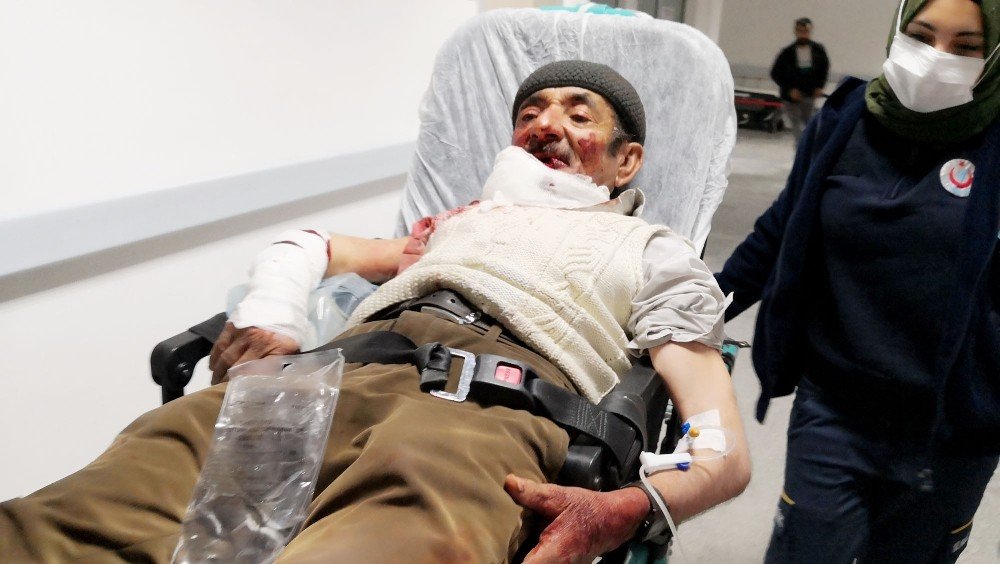 Misafirliğe gittiği evin köpeği yaşlı adamı yere yıkıp ağır yaraladı