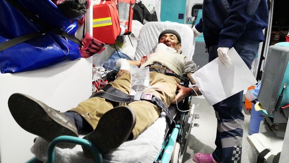 Misafirliğe gittiği evin köpeği yaşlı adamı yere yıkıp ağır yaraladı