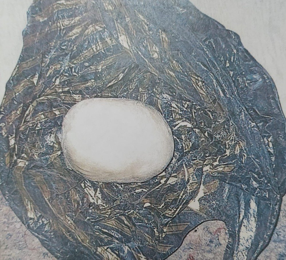 Adana'da yakalanan bomba 2016 yılında İstanbul'da kullanılan bombayla aynı