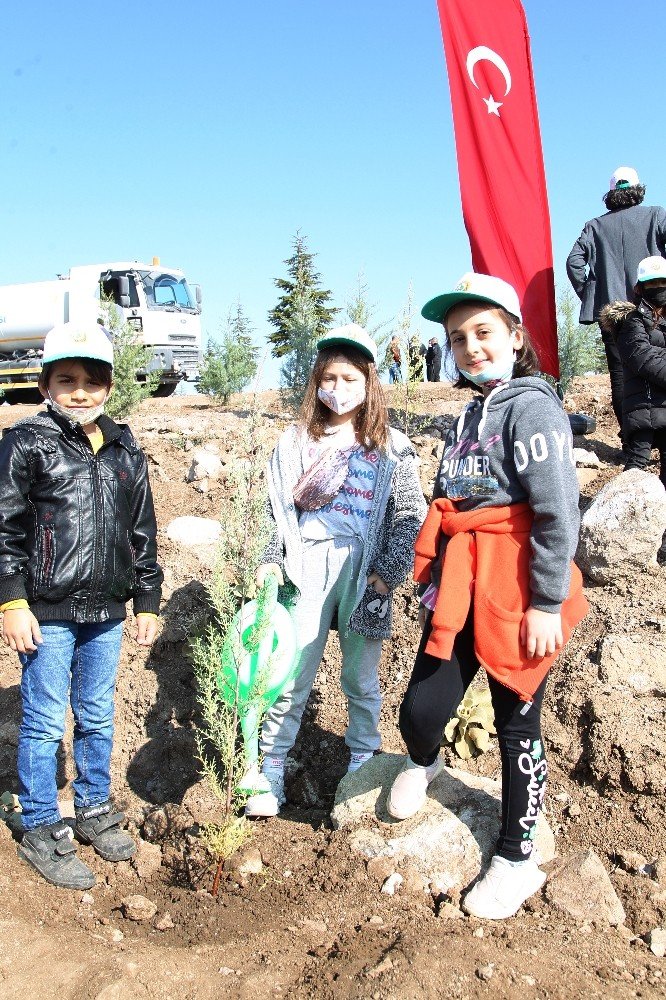 Konya Ağaçlandırma Günü'nde rekor kırdı