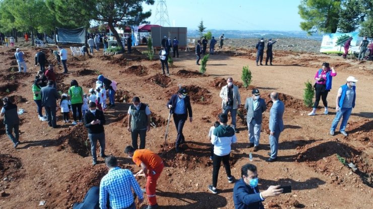 Manavgat’ta Bin ağaç dikildi, bin ağaç dağıtıldı