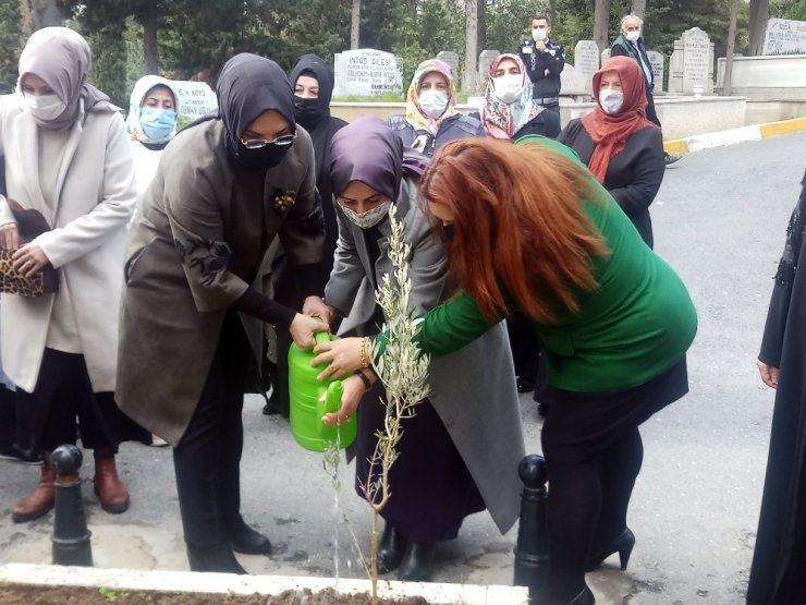 Milli Ağaçlandırma Günü’nde anlamlı fidan dikimi