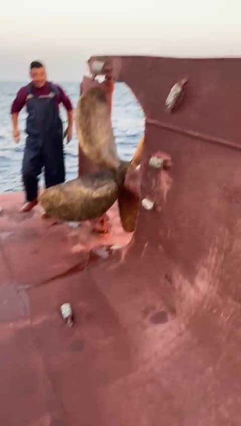 Karataş açıklarında gemiyle çarpışan tekne alabora oldu: 5 kişi kayıp