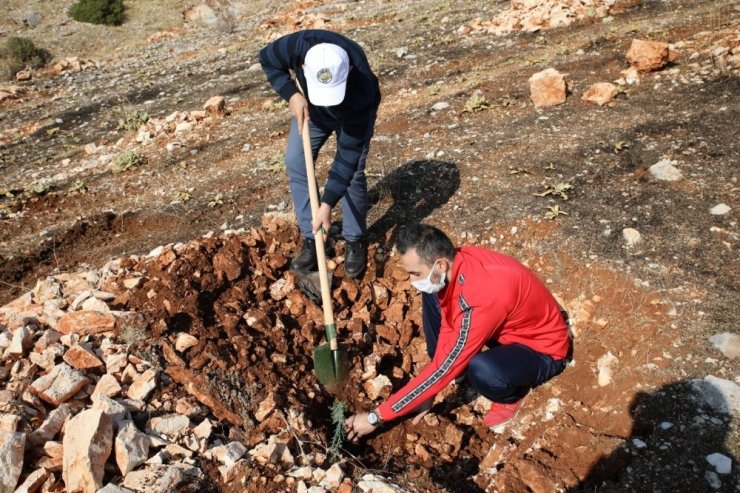 Gençler daha yeşil bir Türkiye için fidan dikti