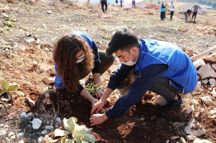 Gençler daha yeşil bir Türkiye için fidan dikti