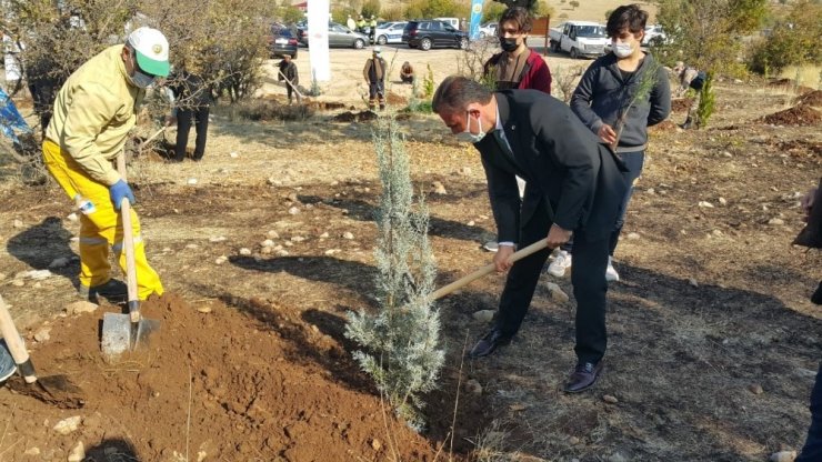 Gençler daha yeşil bir Türkiye için fidan dikti