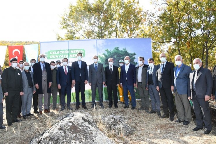 Adıyaman’da 82 bin ağaç fidan dikildi