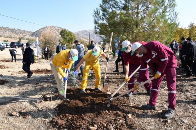 Adıyaman’da 82 bin ağaç fidan dikildi