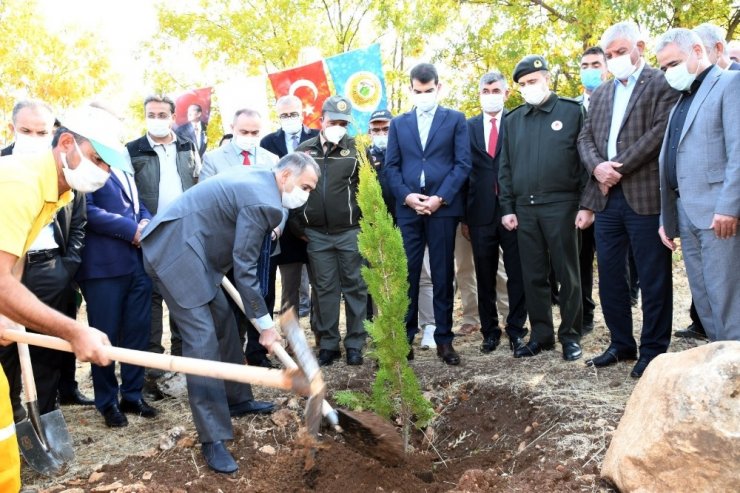 Adıyaman’da 82 bin ağaç fidan dikildi