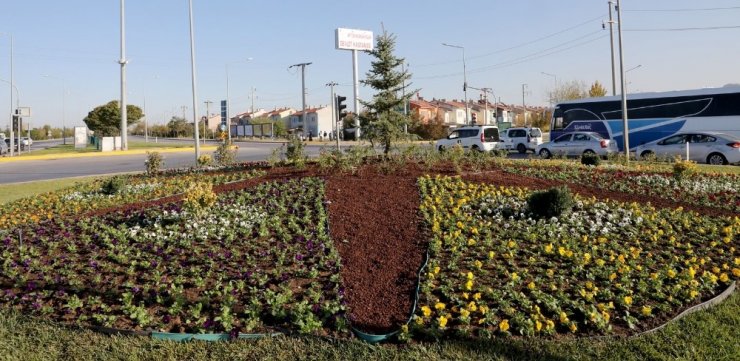 Afyonkarahisar’da 300 bin çiçek dikimi yapılacak