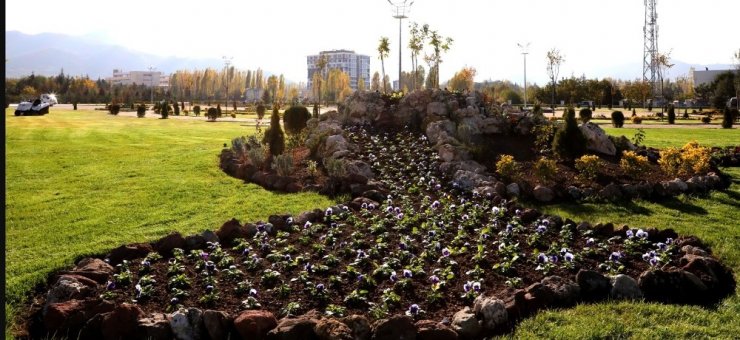 Afyonkarahisar’da 300 bin çiçek dikimi yapılacak