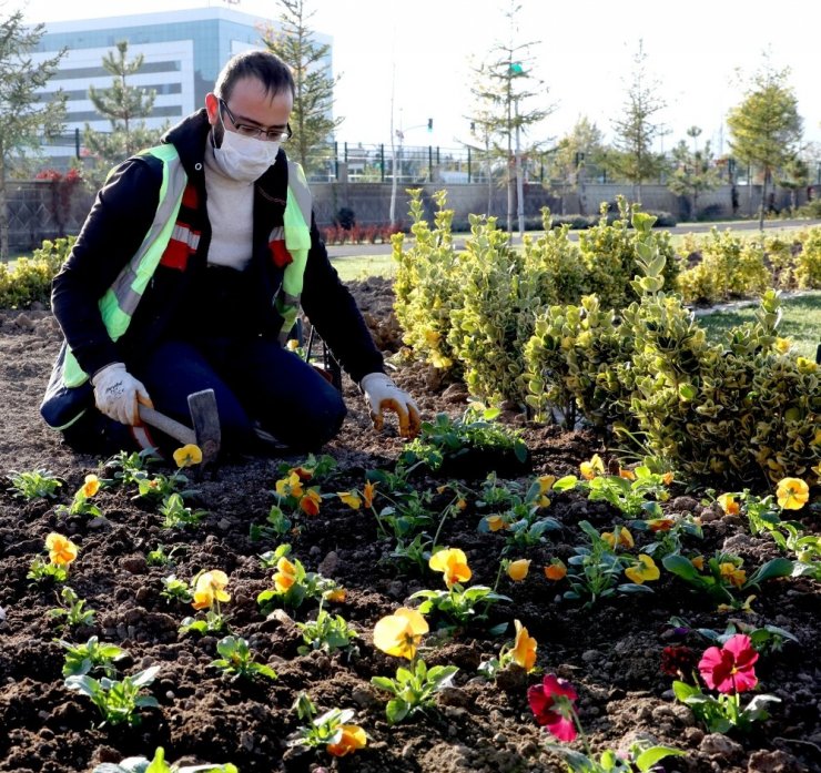 Afyonkarahisar’da 300 bin çiçek dikimi yapılacak