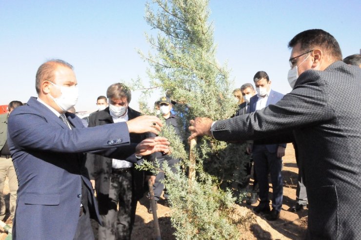 Vali Aydoğdu: “Ağaç hepimizi birleştiriyor”